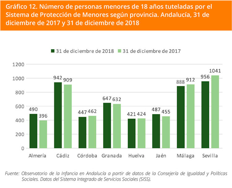 Grafico 12