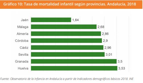 Grafico 10