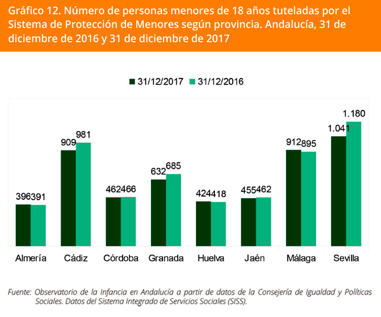 Grafico 12