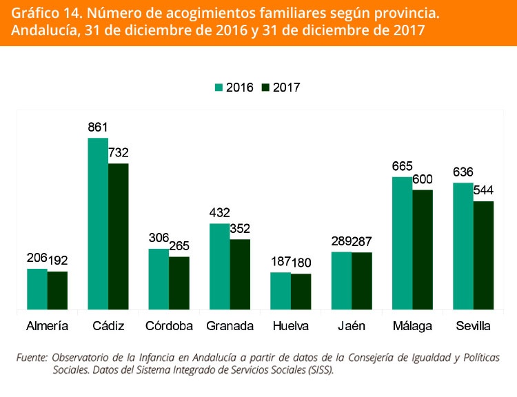 Grafico 14