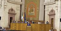 El Defensor del Pueblo andaluz insta al Pleno del Parlamento andaluz a no permitir que aumente la exclusión y la desigualdad social a causa de la COVID-19