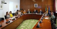 Presentación del Informe Anual 2024 en comisión parlamentaria