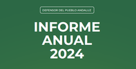 Informe Anual 2024