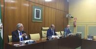 El Defensor del Pueblo atiende casi mil quejas y 2.500 consultas durante el Estado de Alarma por el COVID-19