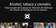 Videoreunión sobre alcohol, tabaco y cánnabis