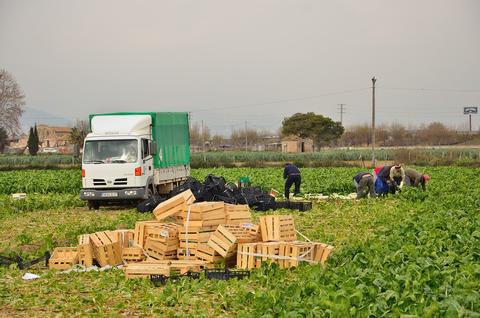 Trabajadores temporeros