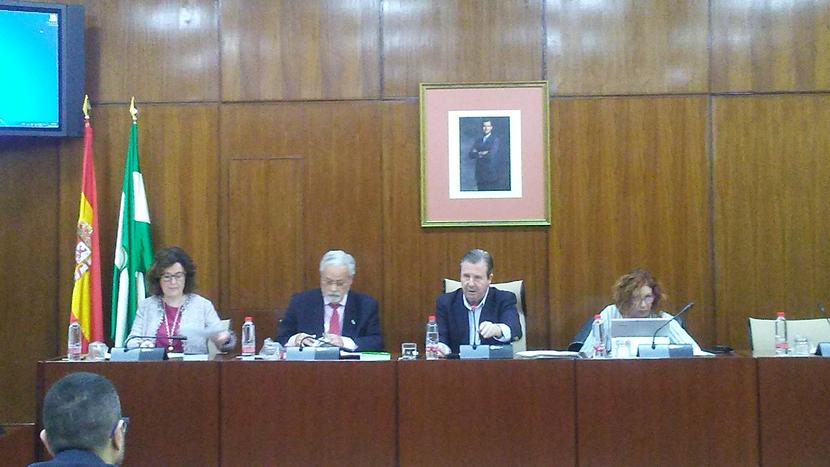 El Defensor del Pueblo andaluz eleva al Parlamento propuestas de mejora para la aplicación de la ley de Muerte digna El Defensor del Pueblo andaluz eleva al Parlamento propuestas de mejora para la aplicación de la ley de Muerte digna