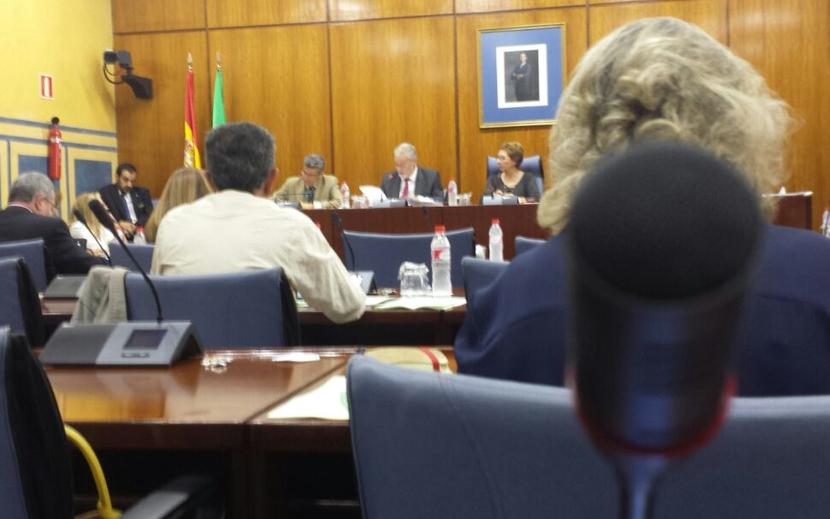 11 h: Presentación del Informe Anual del Menor 2013 en Comisión del Parlamento de Andalucía 11 h: Presentación del Informe Anual del Menor 2013 en Comisión del Parlamento de Andalucía