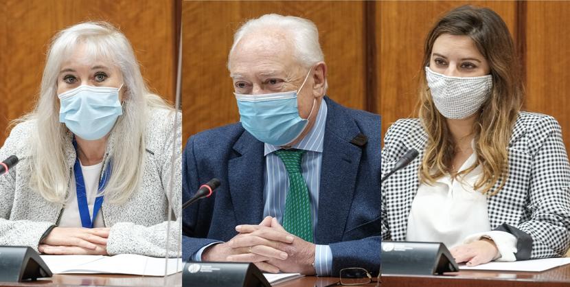 Conformidad a los Adjuntos al Defensor del Pueblo andaluz