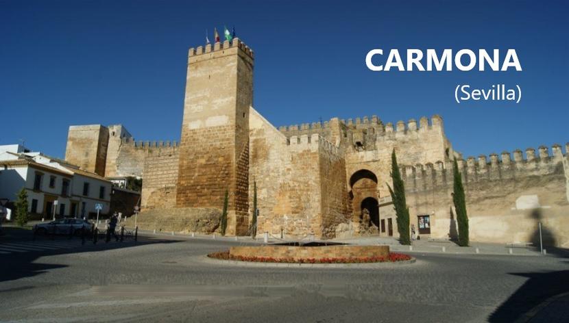 Visita a la Comarca Campiña de Carmona (Sevilla) Visita a la Comarca Campiña de Carmona (Sevilla)