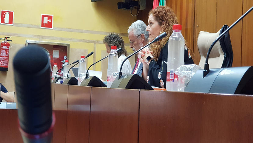 El Defensor del Menor promueve una reunión de alto nivel para abordar la distribución de menores inmigrantes El Defensor del Menor promueve una reunión de alto nivel para abordar la distribución de menores inmigrantes