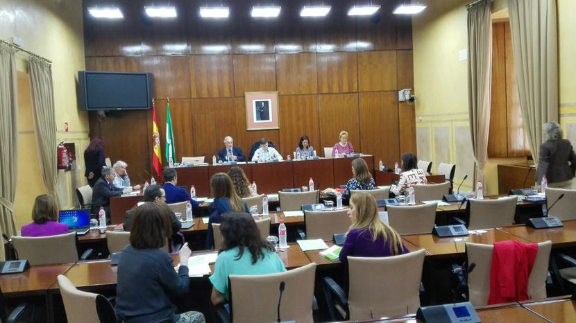 El Defensor del Pueblo Andaluz demanda que el derecho al agua no quede limitado por circunstancias económicas El Defensor del Pueblo Andaluz demanda que el derecho al agua no quede limitado por circunstancias económicas