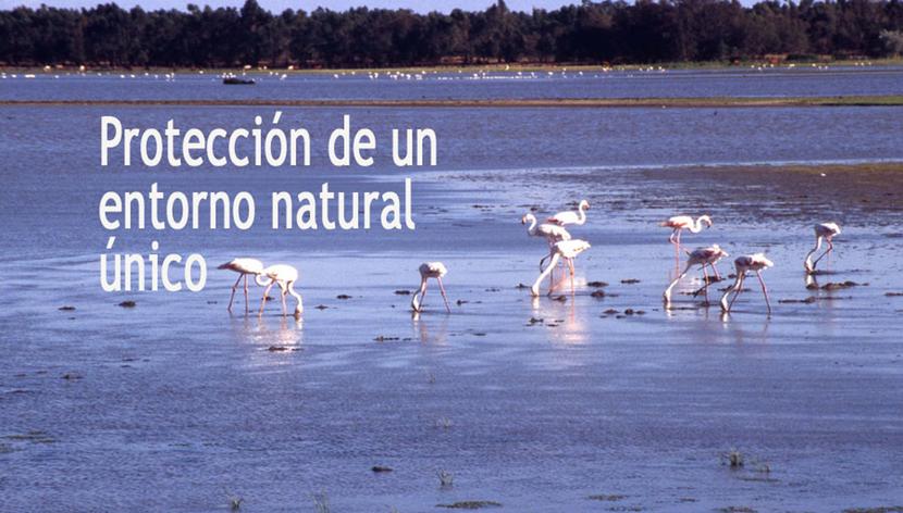 19.45 h: Reunión con una delegación de la Eurocámara sobre Doñana 19.45 h: Reunión con una delegación de la Eurocámara sobre Doñana