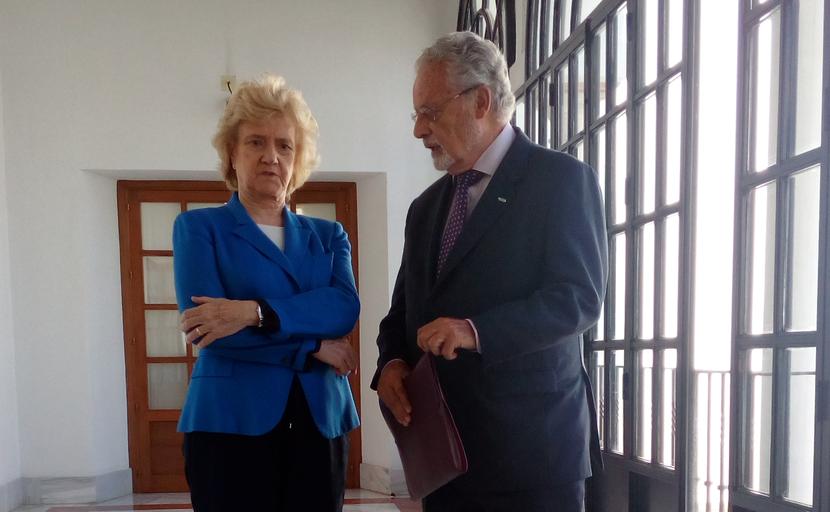 Protección de menores extranjeros que llegan a Andalucía acompañados, posibles víctimas de trata Protección de menores extranjeros que llegan a Andalucía acompañados, posibles víctimas de trata