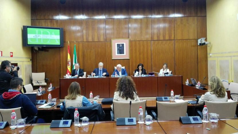 El Defensor del Pueblo Andaluz llama la atención sobre la falta de políticas de movilidad sostenible y de participación de la ciudadanía en la toma de decisiones El Defensor del Pueblo Andaluz llama la atención sobre la falta de políticas de movilidad sostenible y de participación de la ciudadanía en la toma de decisiones