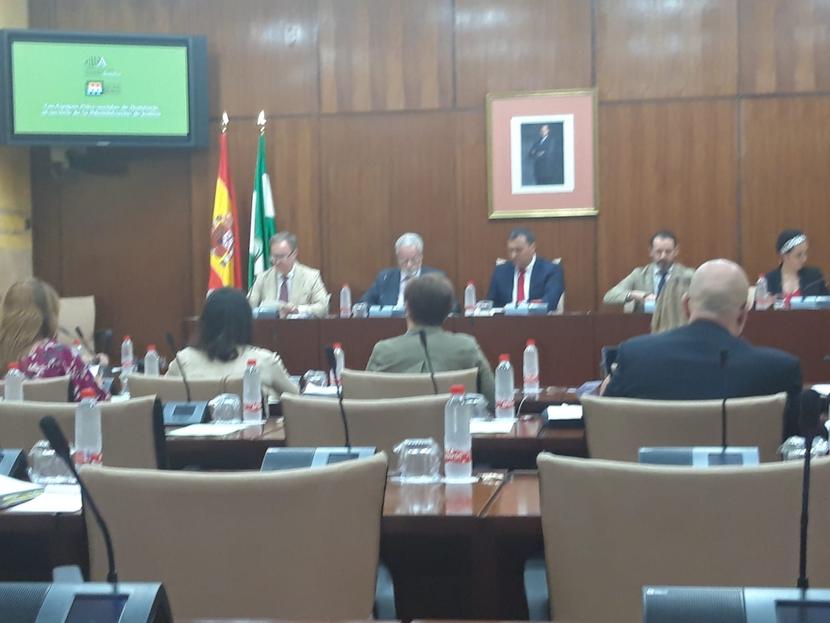 El Defensor reclama una nueva ordenación territorial de los Equipos Psicosociales que intervienen sobre procesos de custodia de menores El Defensor reclama una nueva ordenación territorial de los Equipos Psicosociales que intervienen sobre procesos de custodia de menores