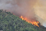 Que se actúe ante las causas del incendio de Lújar y se adopten medidas adicionales para aminorar el riesgo de incendio en la zona Que se actúe ante las causas del incendio de Lújar y se adopten medidas adicionales para aminorar el riesgo de incendio en la zona