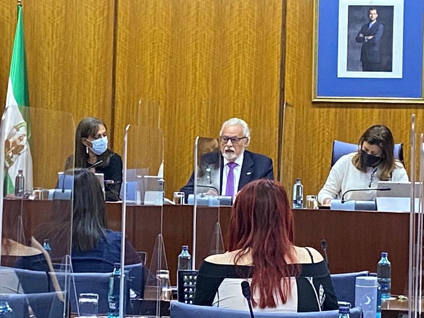 El Defensor del Menor de Andalucía incide en el derecho de las niñas y los niños a ser oídos y escuchados sin discriminación alguna
