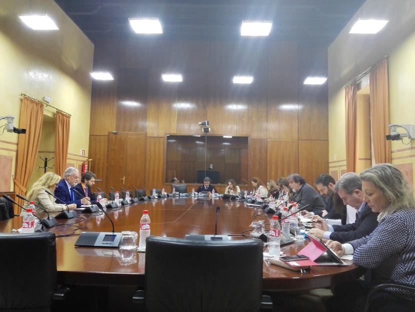 Intervención del dPA sobre el Proyecto de Ley de Participación Ciudadana en Andalucía Intervención del dPA sobre el Proyecto de Ley de Participación Ciudadana en Andalucía
