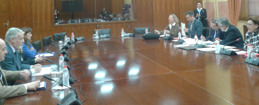 Comparecencia sobre el Proyecto de Ley de Transparencia Pública de Andalucía Comparecencia sobre el Proyecto de Ley de Transparencia Pública de Andalucía