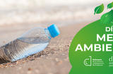 Comunicado del Defensor del Pueblo Andaluz con motivo del Día Mundial del Medio Ambiente